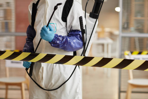 Professional Sewage Cleanup technician working in North Chatham, MA